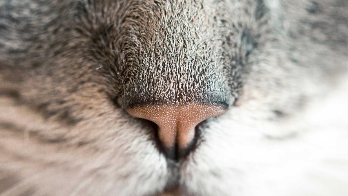 The Serverless Cold Start Nightmare: Why That 2-Second Latency Spike Is Killing E-Commerce Conversions